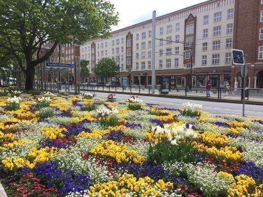 18055 Rostock  Stadtmitte Lange Str