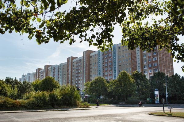 Großer Wohnblock im Sonnenlicht, teilweise von grünen Bäumen und Sträuchern verdeckt. Im Vordergrund eine ruhige Straße mit Bushaltestelle und vereinzelten Passanten, während Blätter im oberen Bildrand wie ein natürlicher Rahmen wirken.