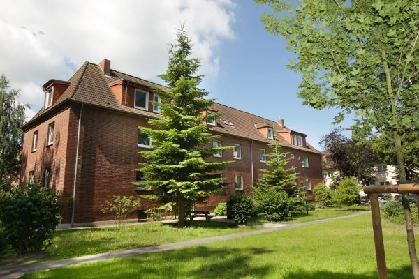 Backsteinwohnhaus mit Satteldach, umgeben von grüner Wiese, Sträuchern und kleinen Nadelbäumen. Sonnenlicht und blauer Himmel mit weißen Wolken verleihen der Szenerie eine freundliche, ruhige Wohnatmosphäre.