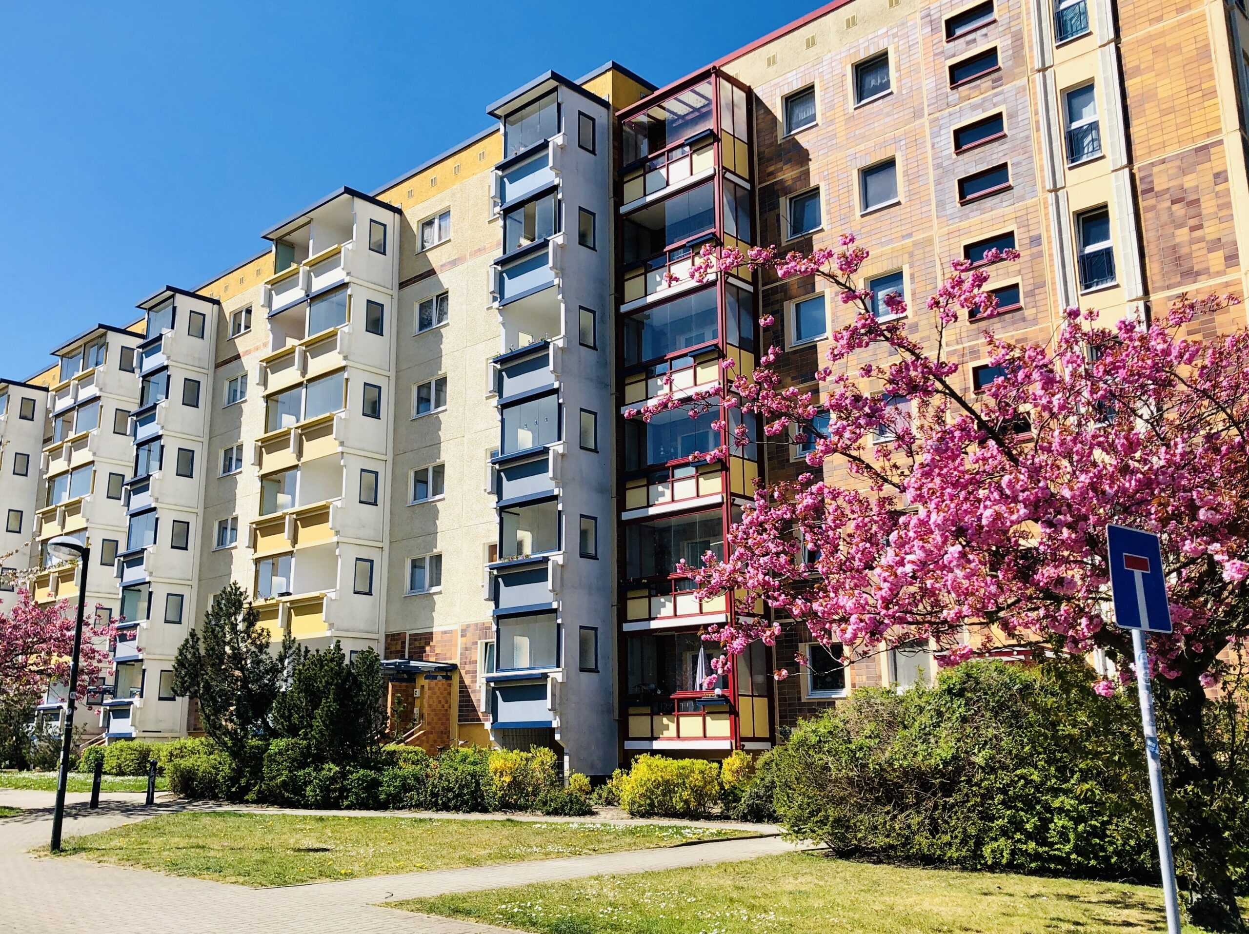 Mehrstöckiges Wohnhaus mit bunten Balkonen in Gelb, Blau und Rot, davor ein blühender Kirschbaum mit kräftig pinken Blüten. Das Sonnenlicht und der blaue Himmel verstärken die frühlingshafte, freundliche Stimmung.